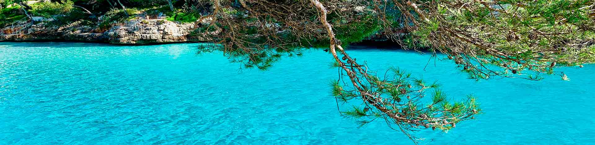 Photo gallery hotel rocamarina Photo gallery hotel rocamarina in mallorca