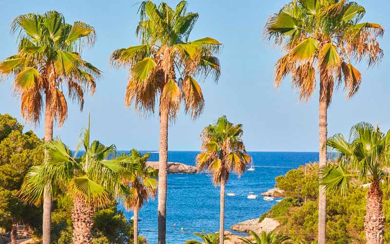 superior room sea view hotel rocamarina bed superior room sea view hotel rocamarina